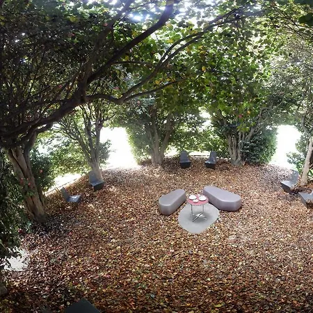 农家乐 Quinta Lavandeiras - Caldas De 维泽拉