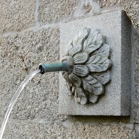 Bauernhof Quinta Lavandeiras - Caldas De