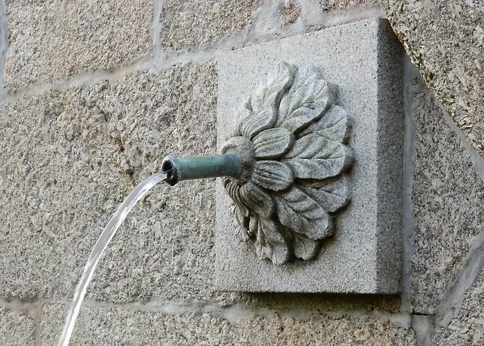 Lantgård Quinta Lavandeiras - Caldas De