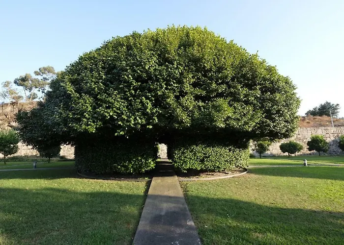 Quinta Lavandeiras - Caldas De Alojamento de Turismo Rural Vizela